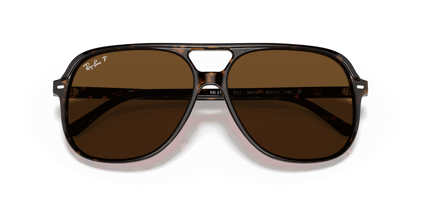 [B-15 Brown Lenses, Polished Havana Frame]