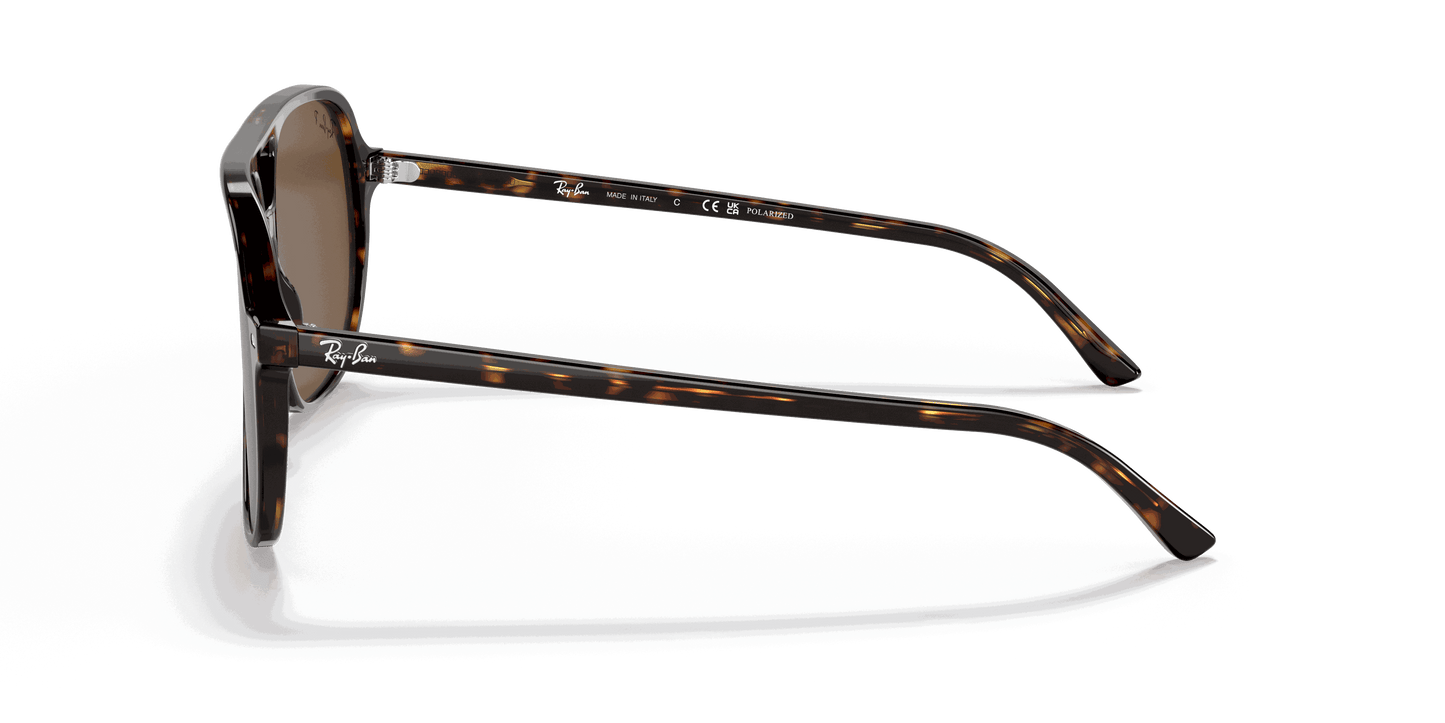 [B-15 Brown Lenses, Polished Havana Frame]