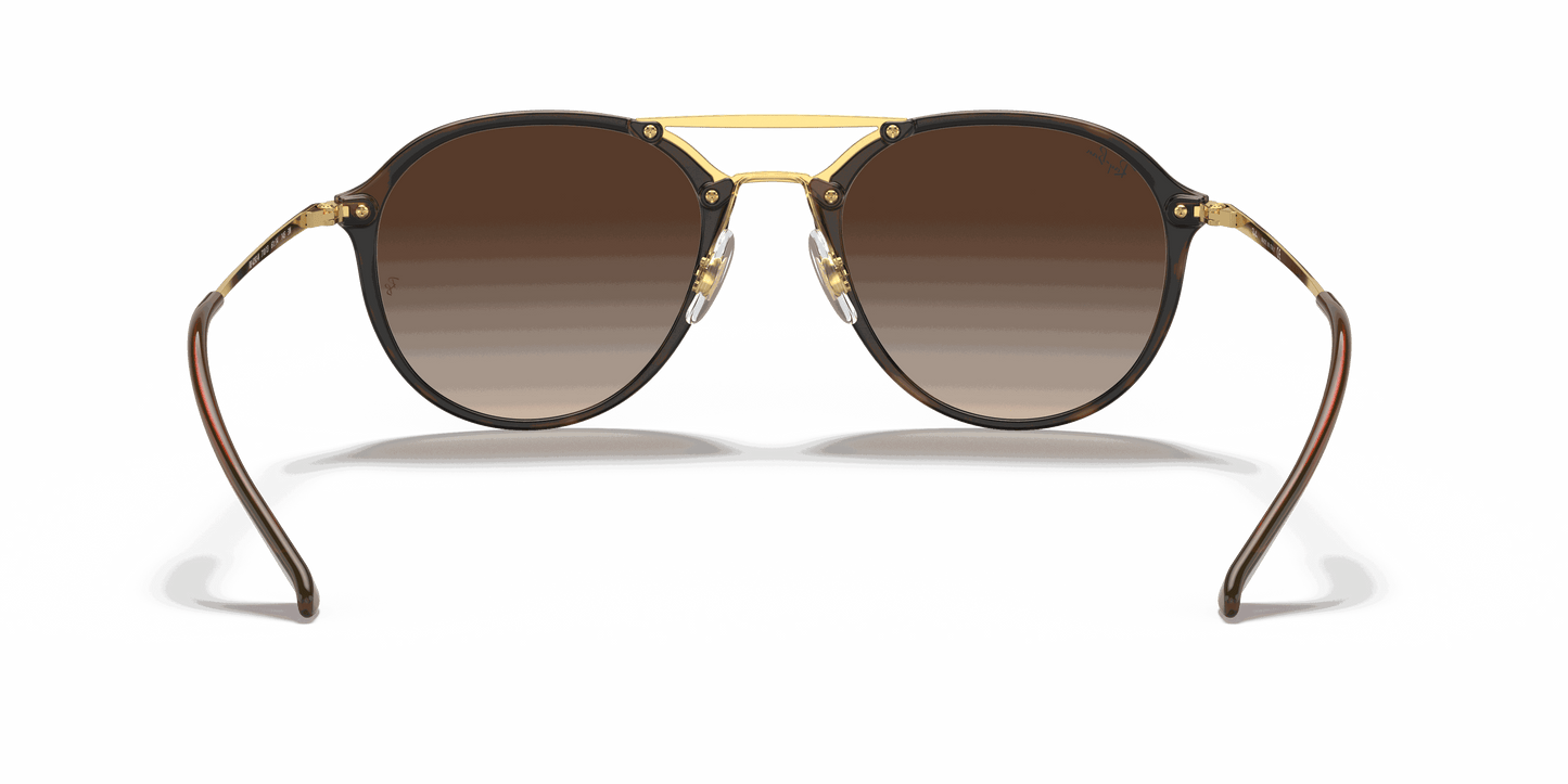 [Brown Gradient Lenses, Polished Light Havana Frame]