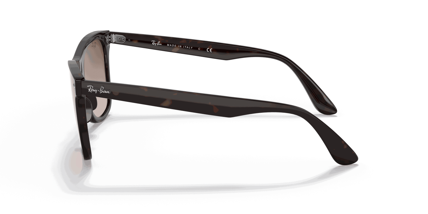[Brown Gradient Lenses, Polished Light Havana Frame]