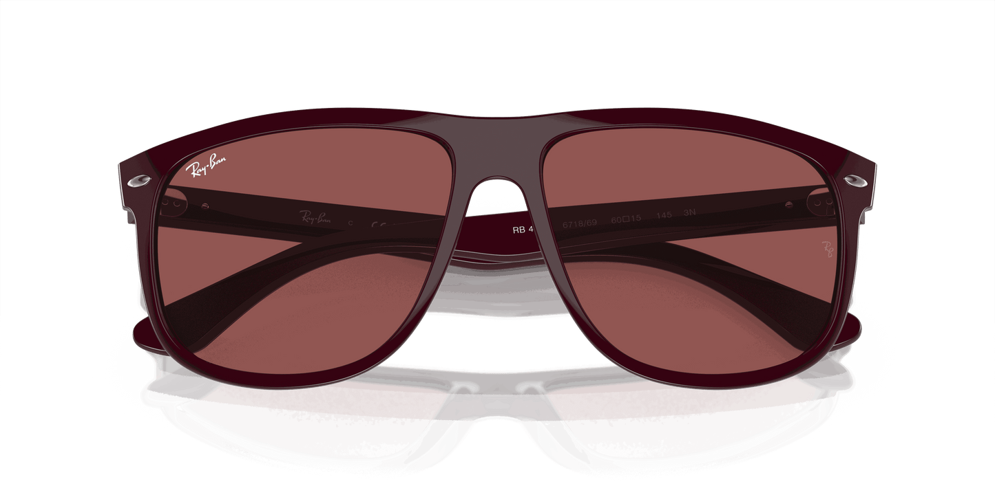 [Dark Violet Lenses, Polished Bordeaux Frame]