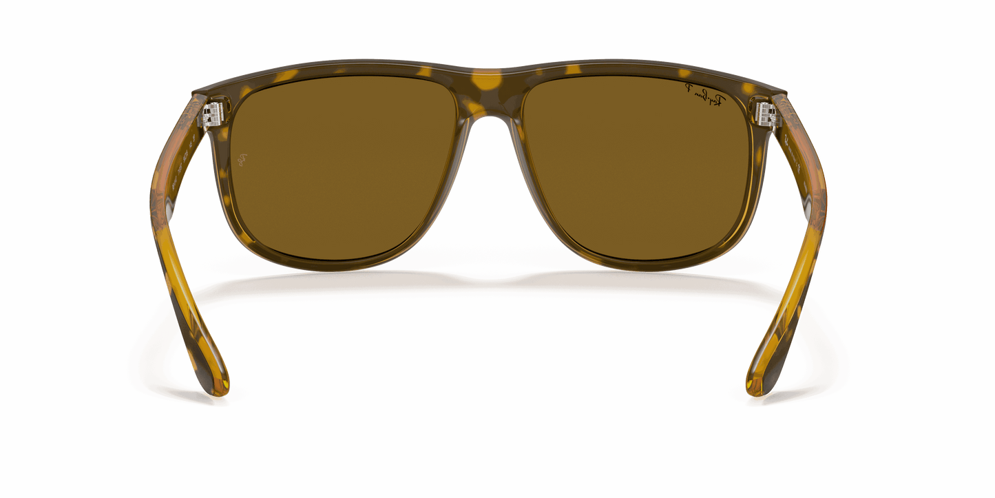 [Brown Lenses, Polished Light Havana Frame]