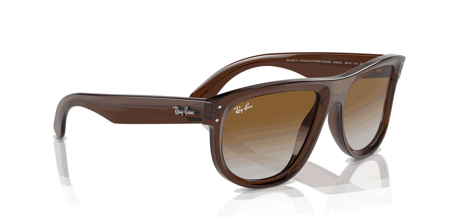 [Brown Lenses, Polished Transparent Brown Frame]