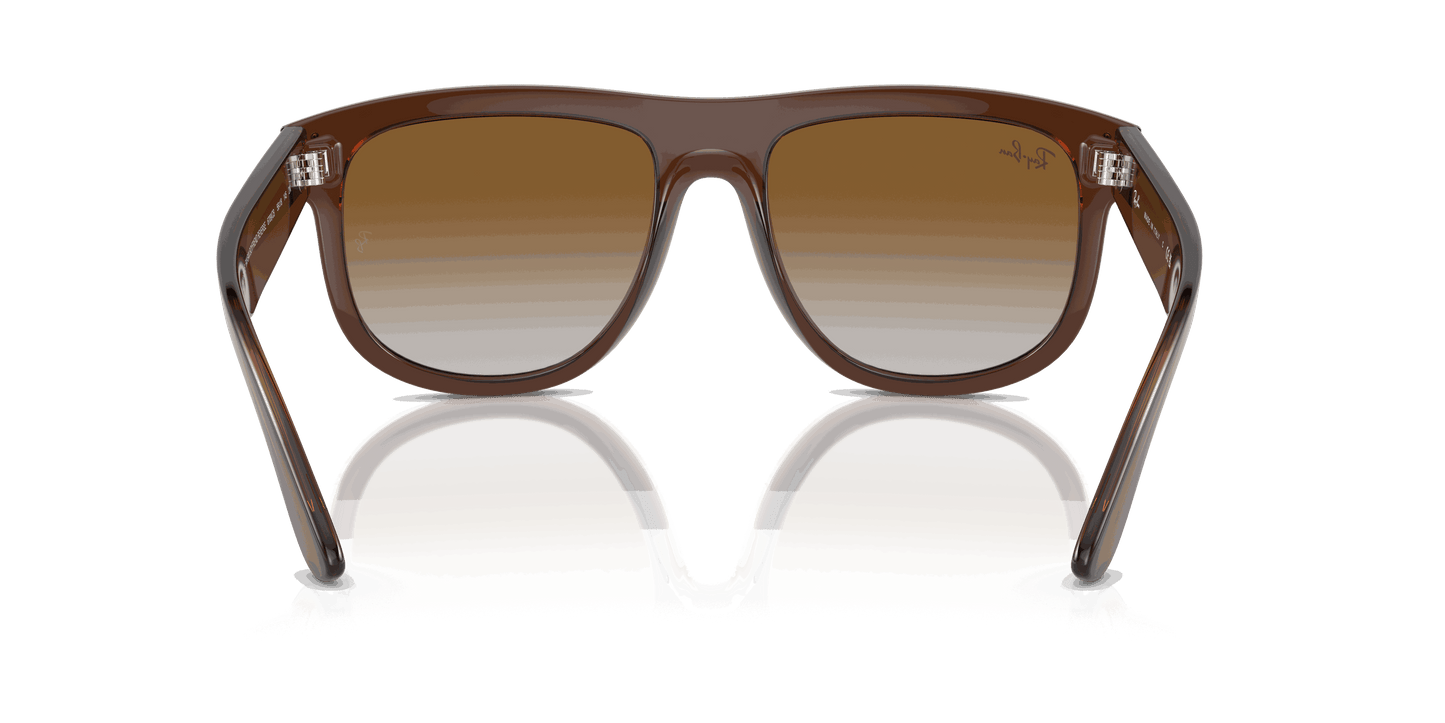 [Brown Lenses, Polished Transparent Brown Frame]