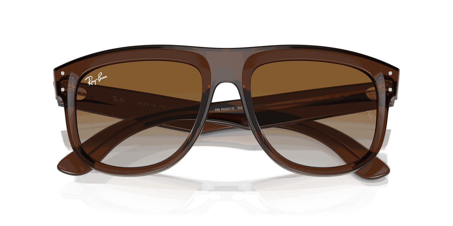 [Brown Lenses, Polished Transparent Brown Frame]