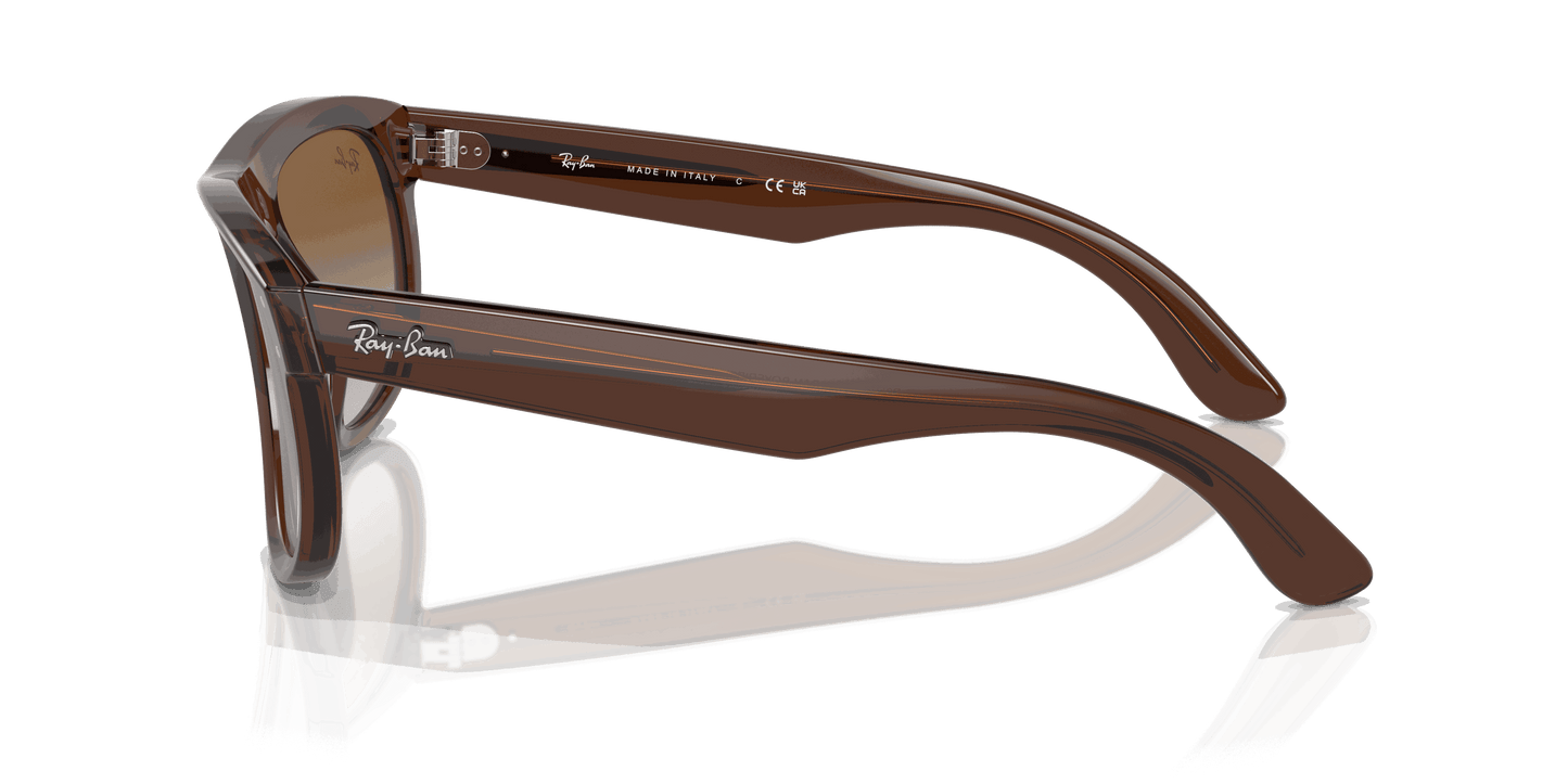 [Brown Lenses, Polished Transparent Brown Frame]