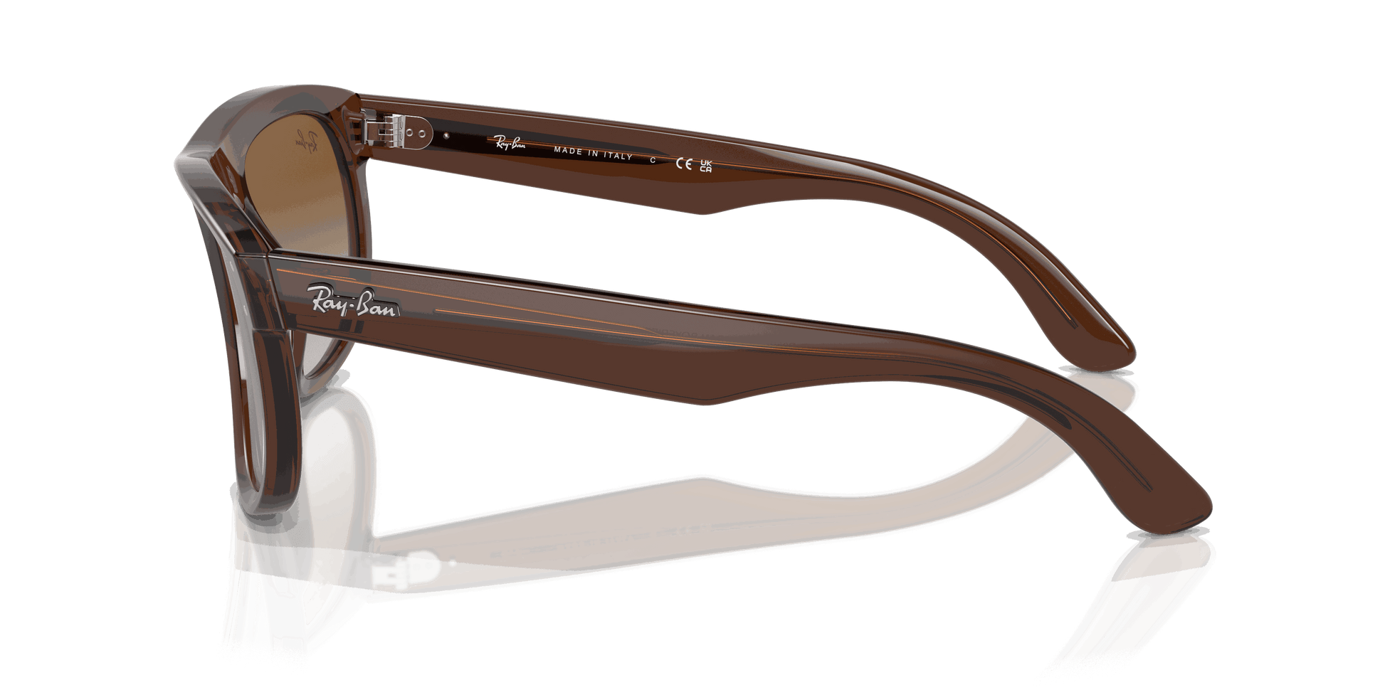 [Brown Lenses, Polished Transparent Brown Frame]