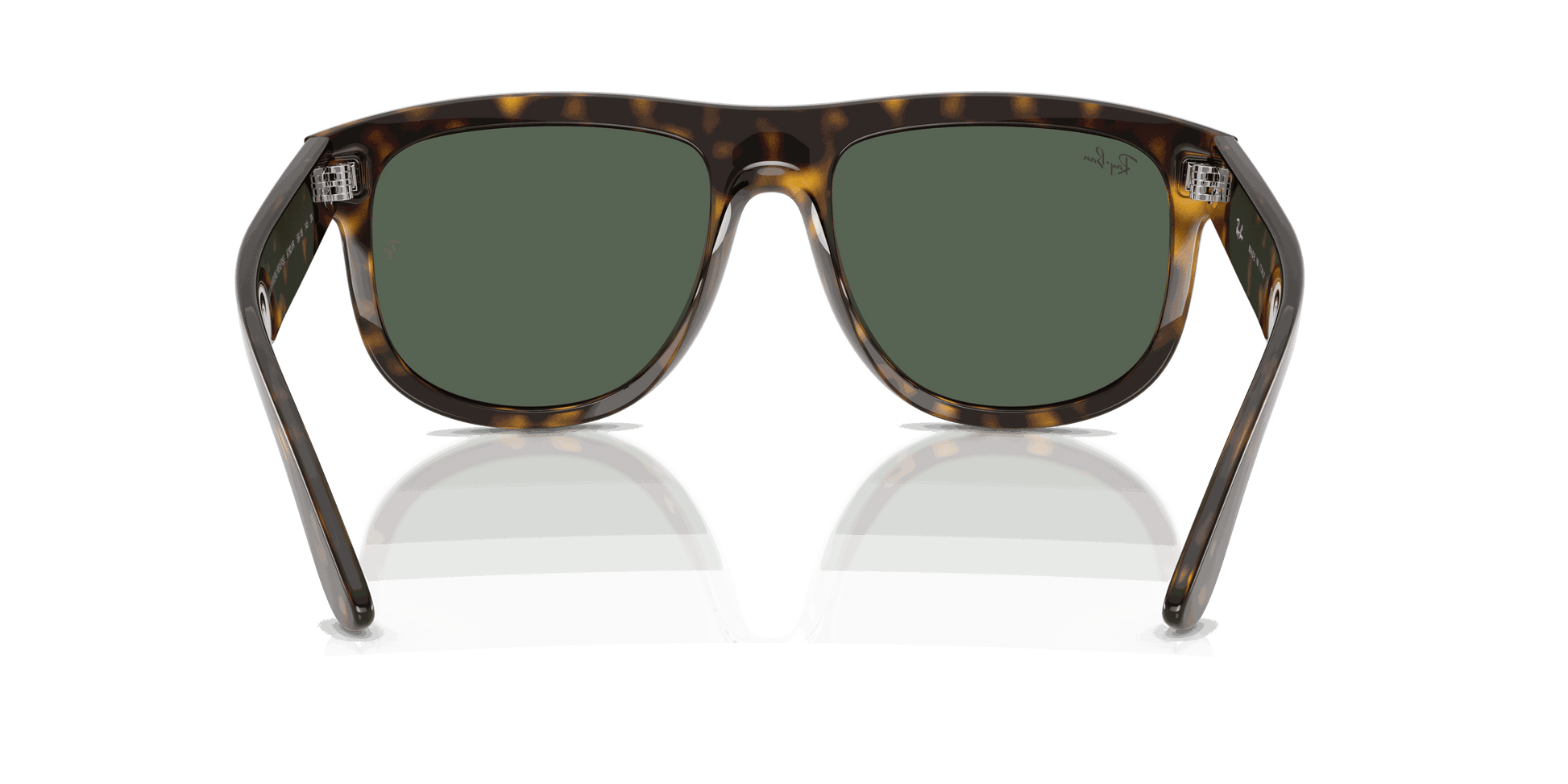 [Dark Green Lenses, Polished Dark Havana Frame]