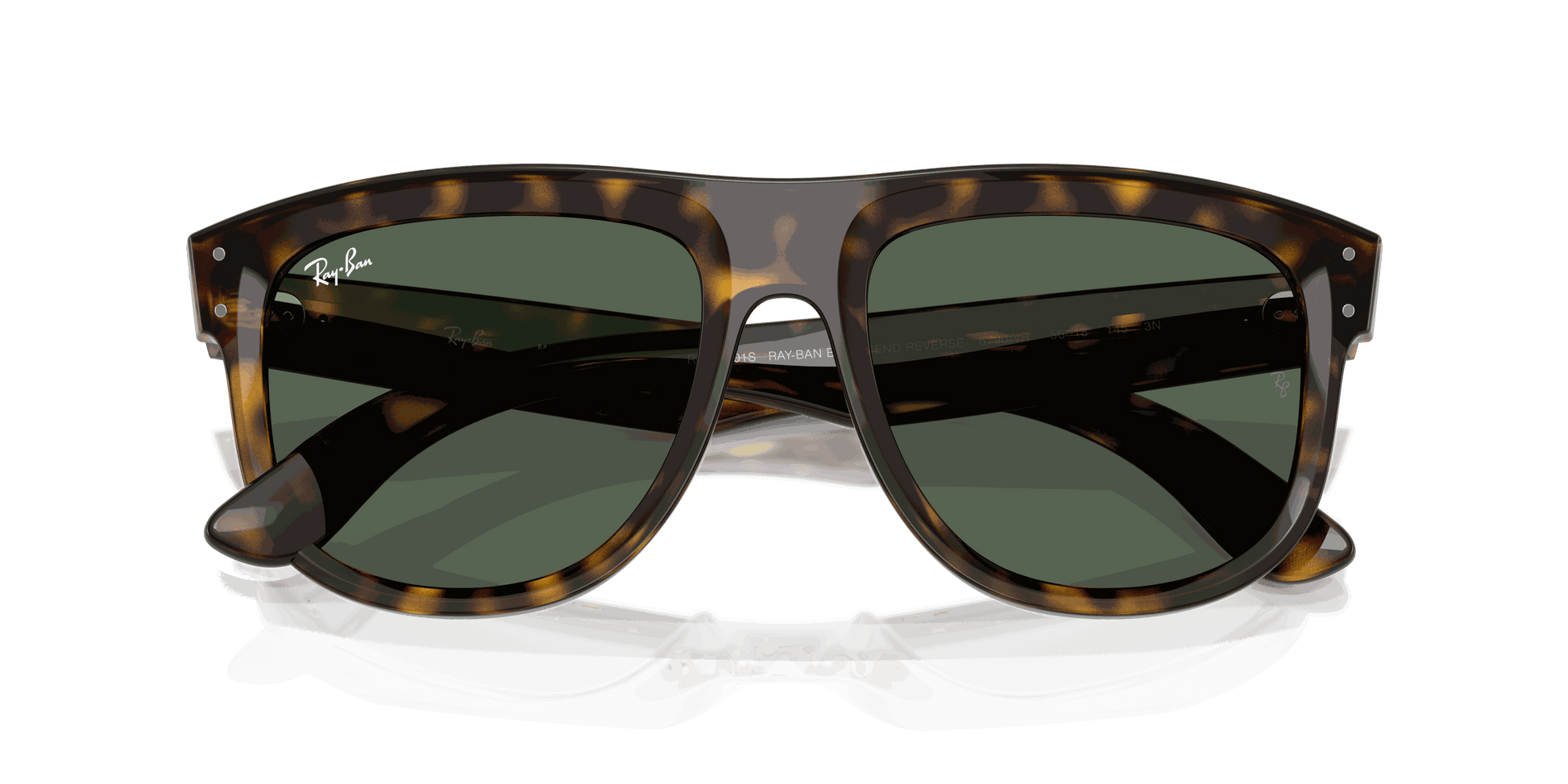 [Dark Green Lenses, Polished Dark Havana Frame]