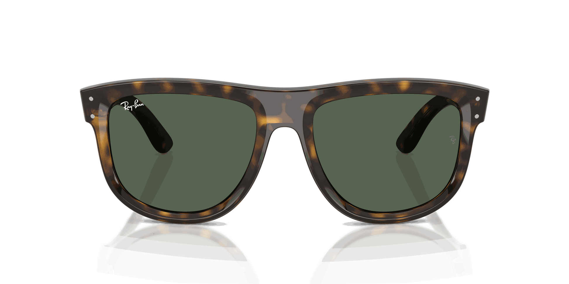 [Dark Green Lenses, Polished Dark Havana Frame]
