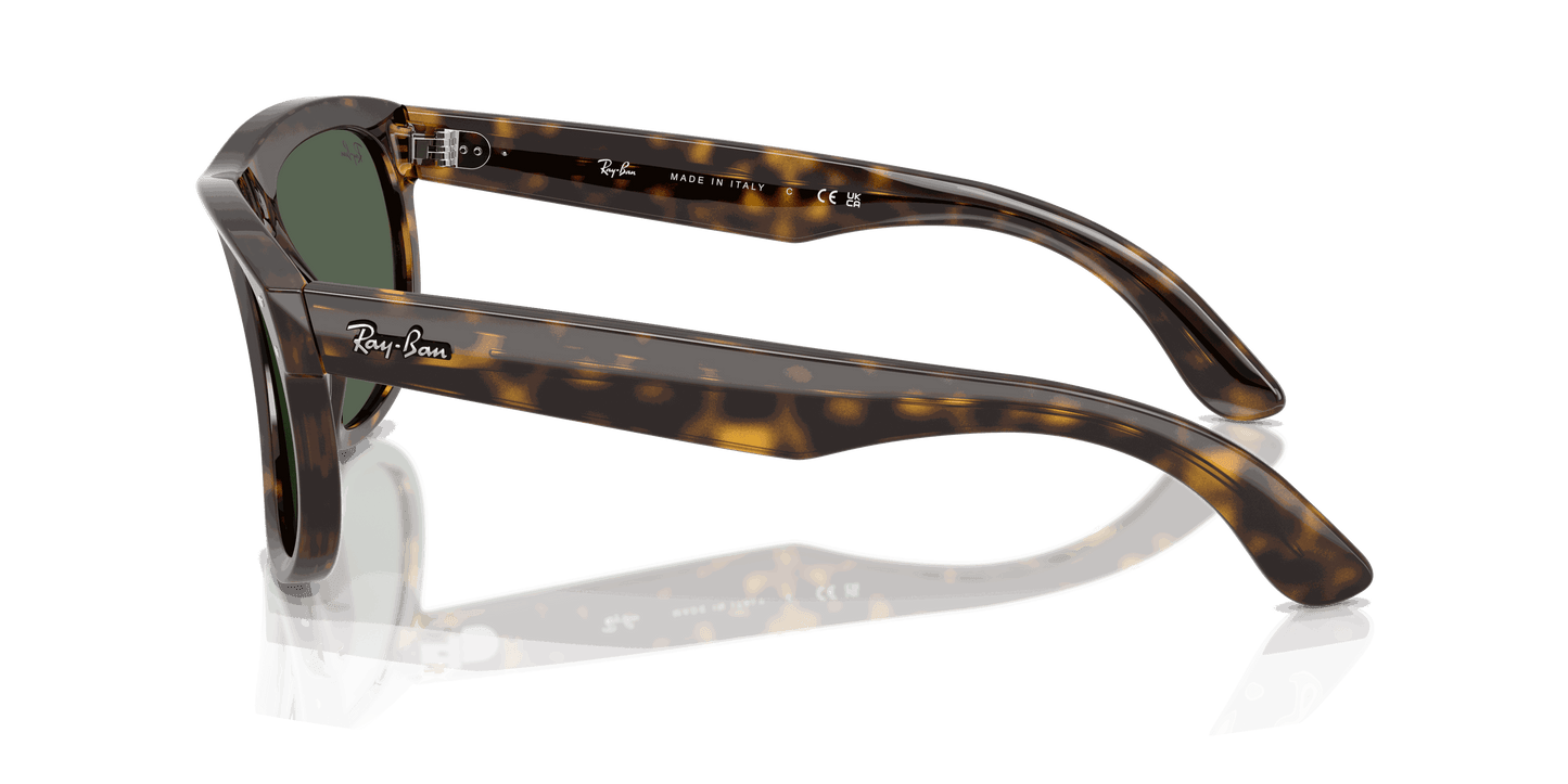 [Dark Green Lenses, Polished Dark Havana Frame]