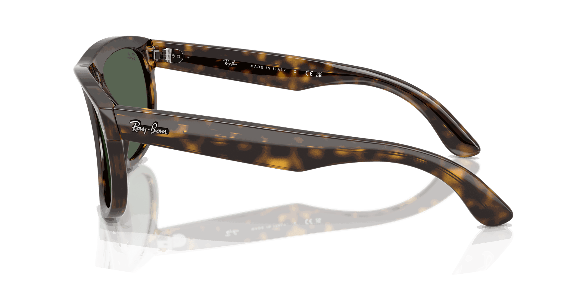 [Dark Green Lenses, Polished Dark Havana Frame]