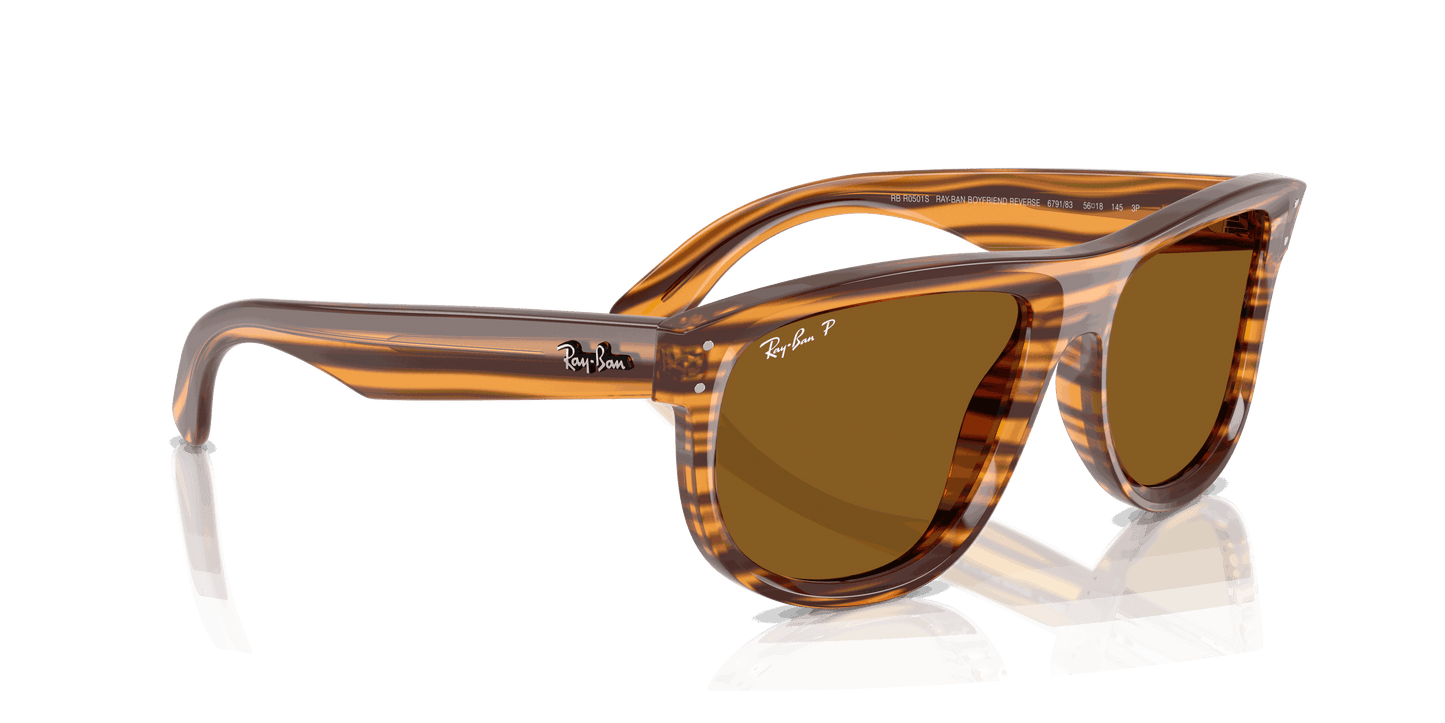 [Polar Dark Brown Lenses, Polished Striped Havana Frame]