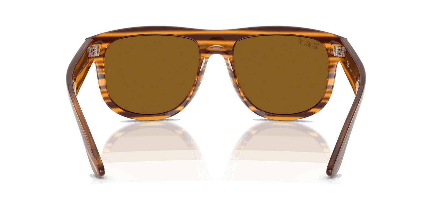 [Polar Dark Brown Lenses, Polished Striped Havana Frame]