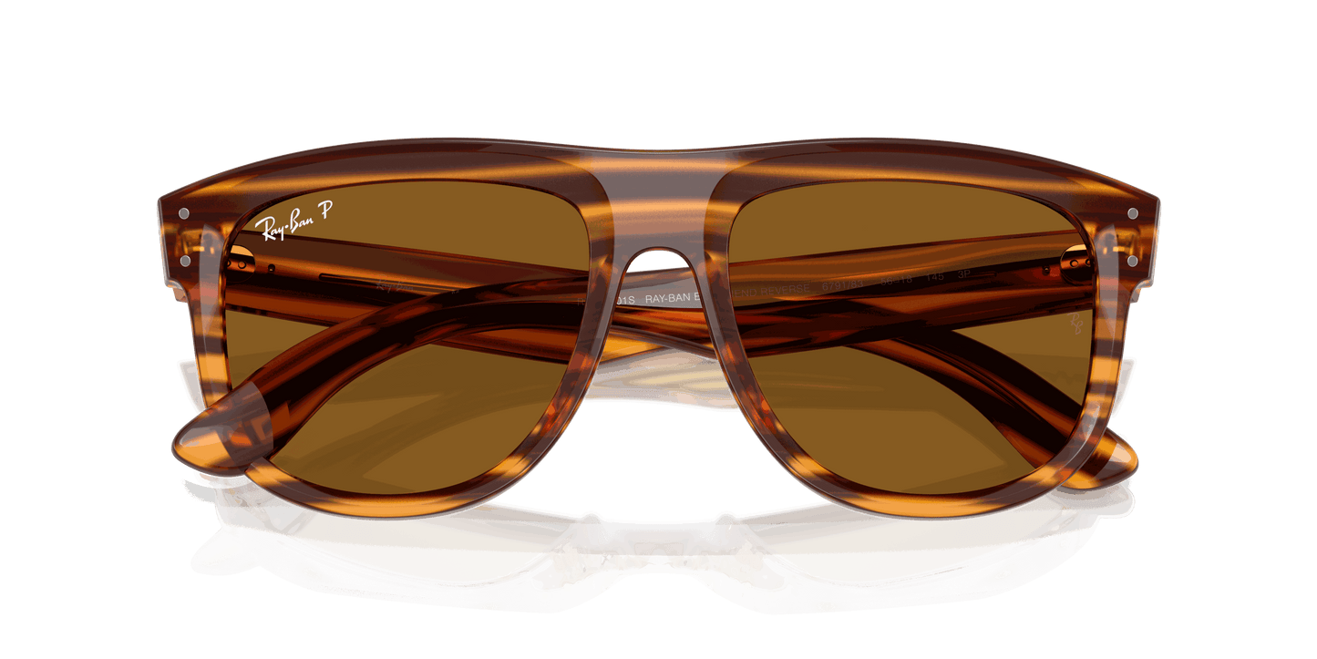 [Polar Dark Brown Lenses, Polished Striped Havana Frame]