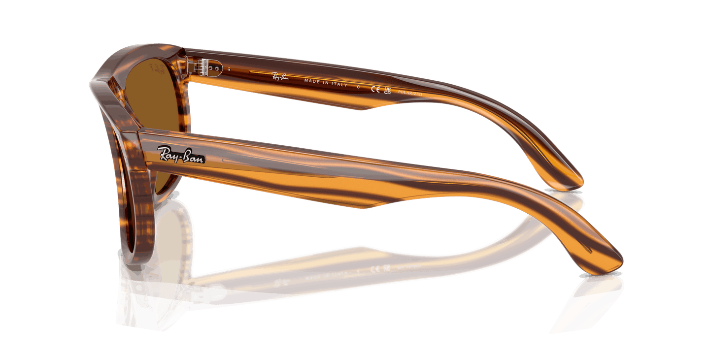 [Polar Dark Brown Lenses, Polished Striped Havana Frame]