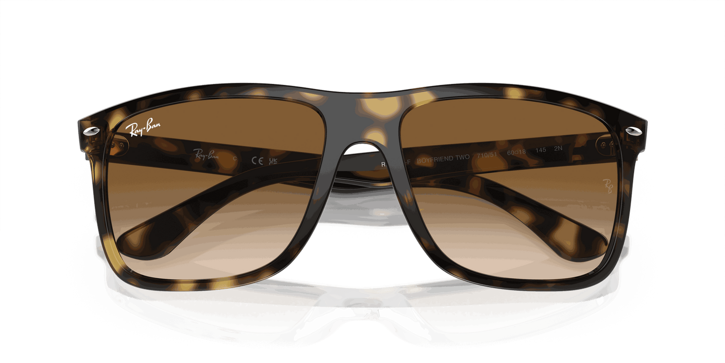 [Clear/Brown Lenses, Polished Havana Frame]