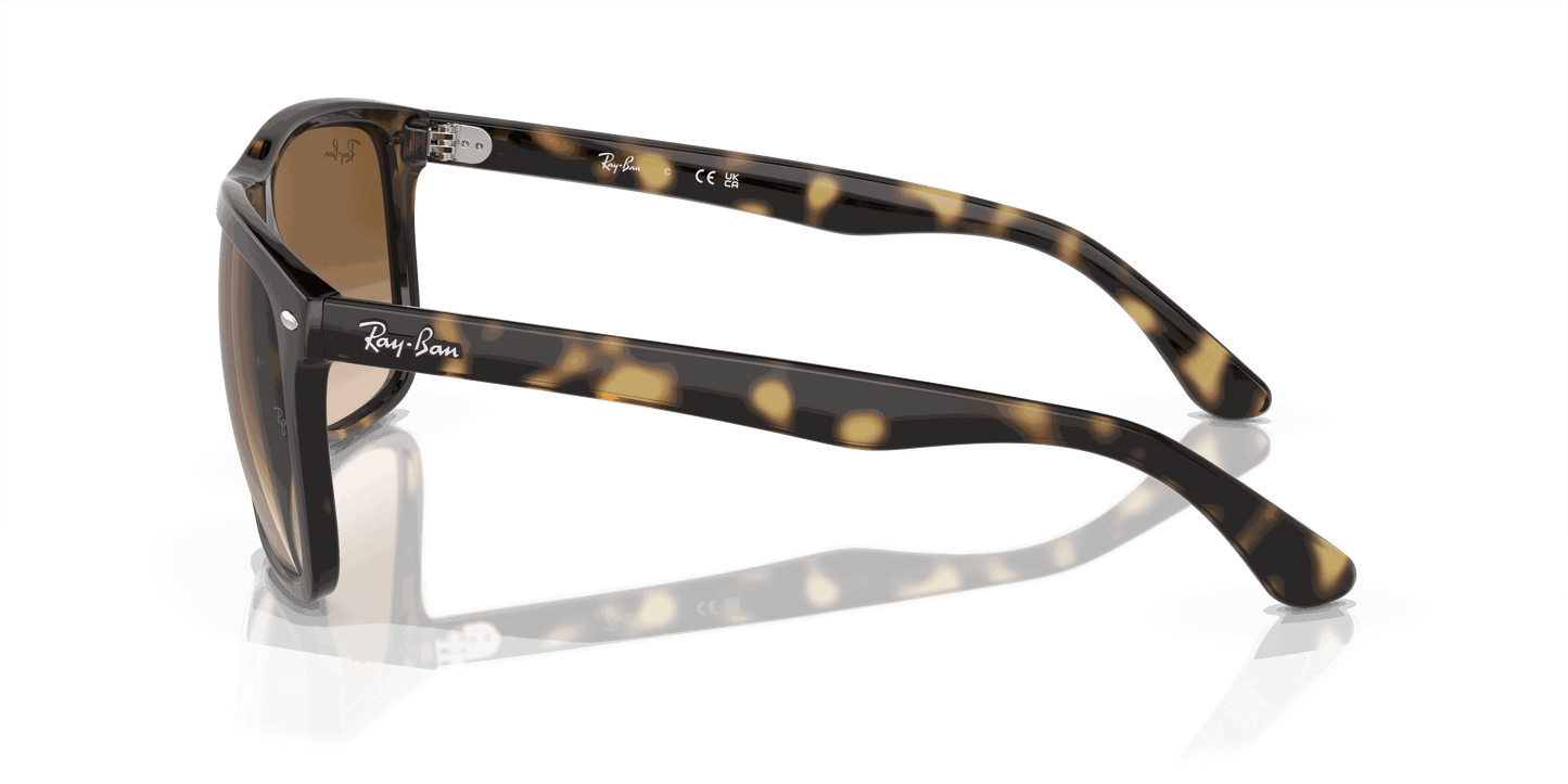 [Clear/Brown Lenses, Polished Havana Frame]