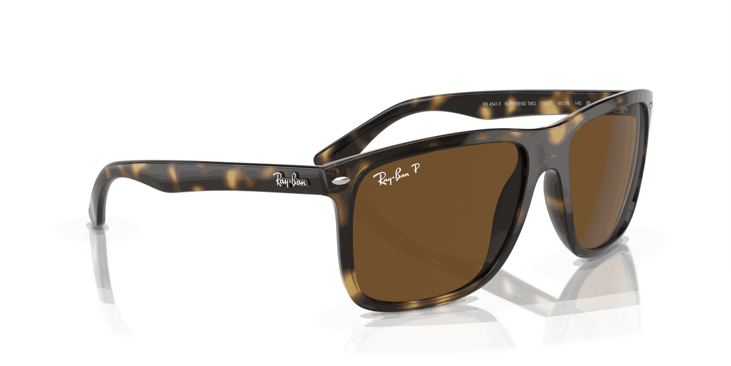 [Brown Lenses, Polished Havana Frame]