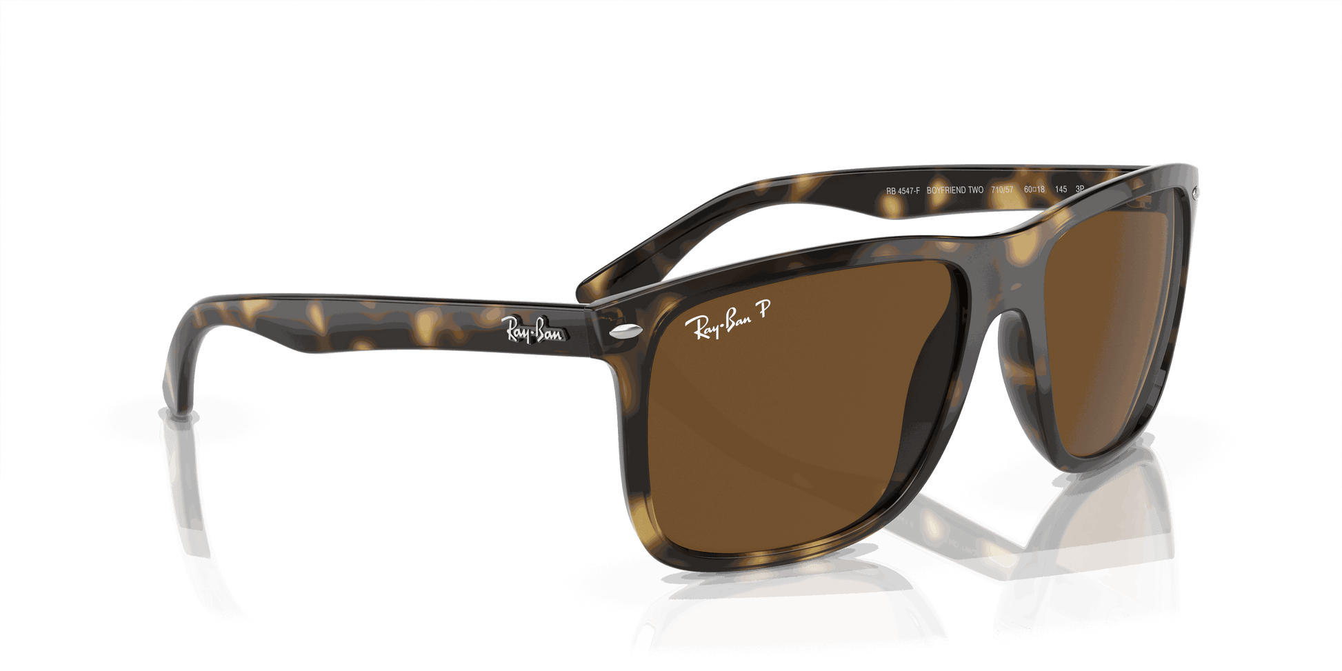 [Brown Lenses, Polished Havana Frame]