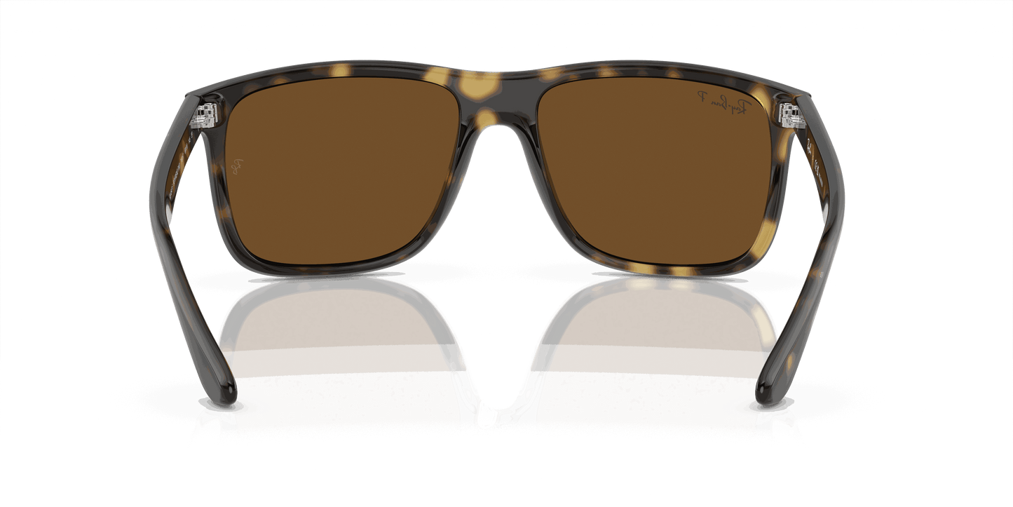 [Brown Lenses, Polished Havana Frame]
