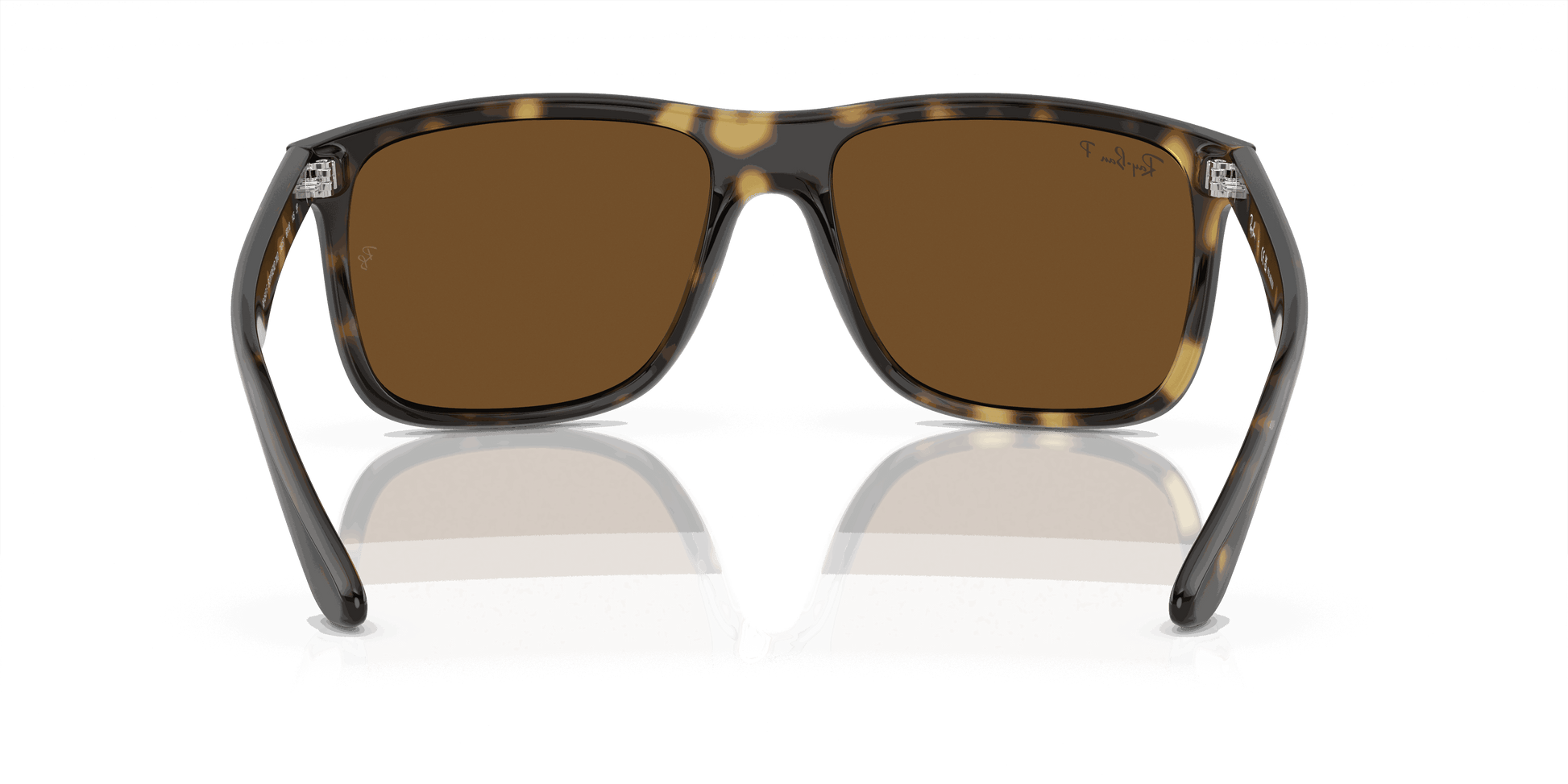 [Brown Lenses, Polished Havana Frame]