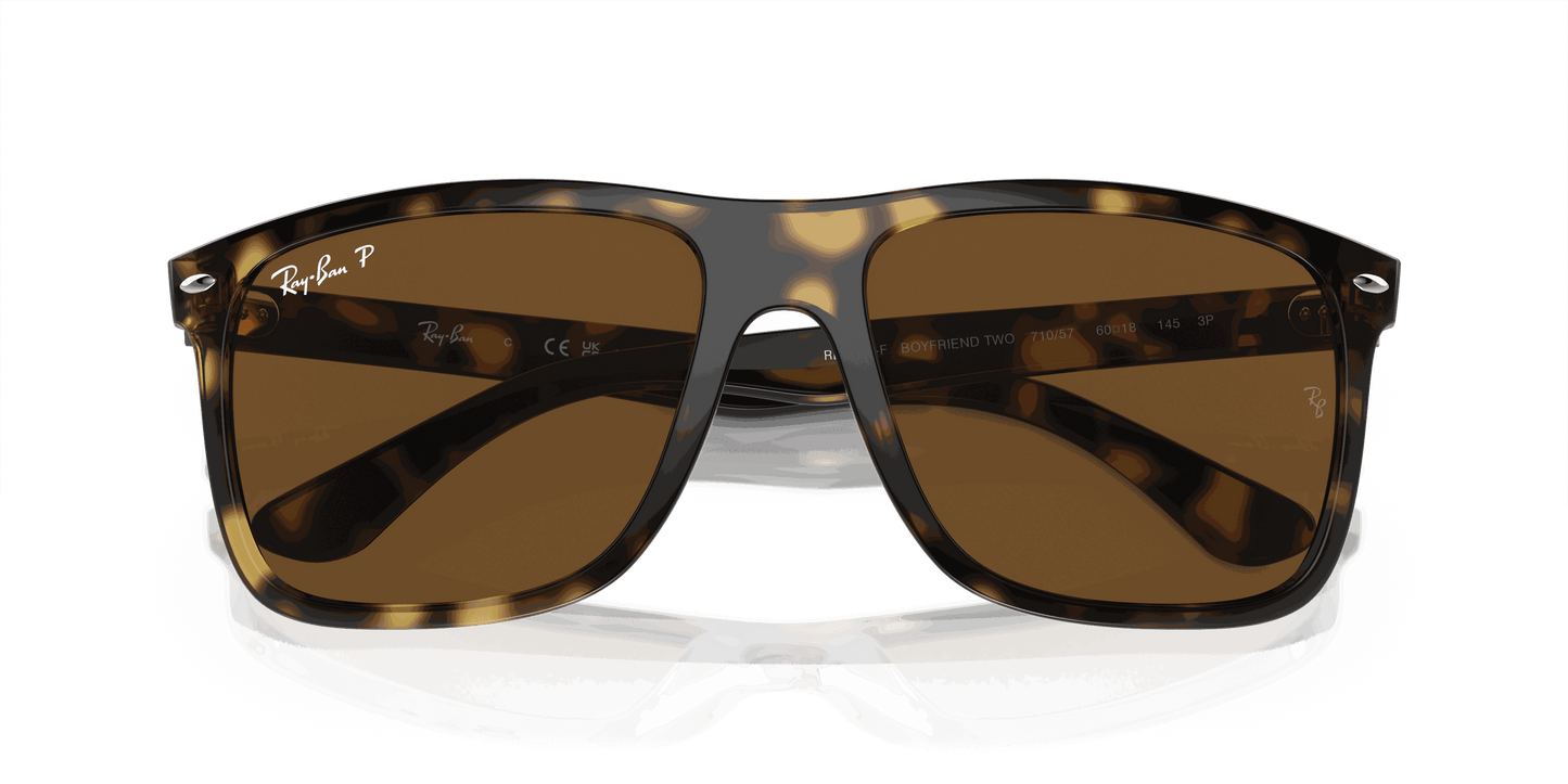 [Brown Lenses, Polished Havana Frame]