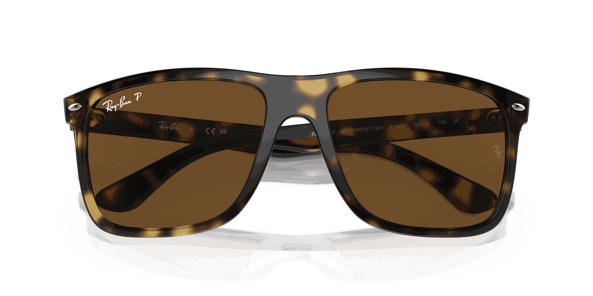 [Brown Lenses, Polished Havana Frame]