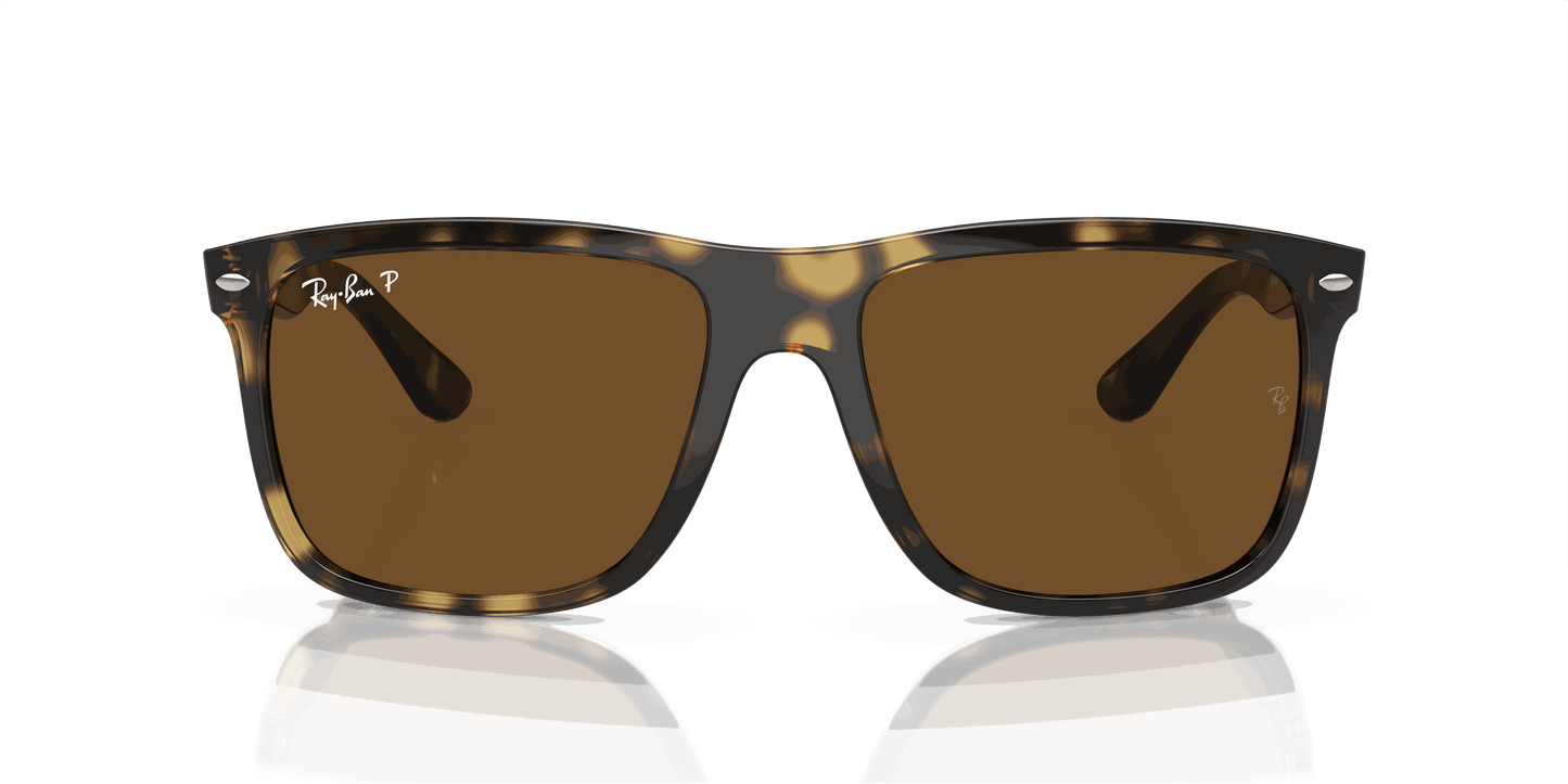[Brown Lenses, Polished Havana Frame]