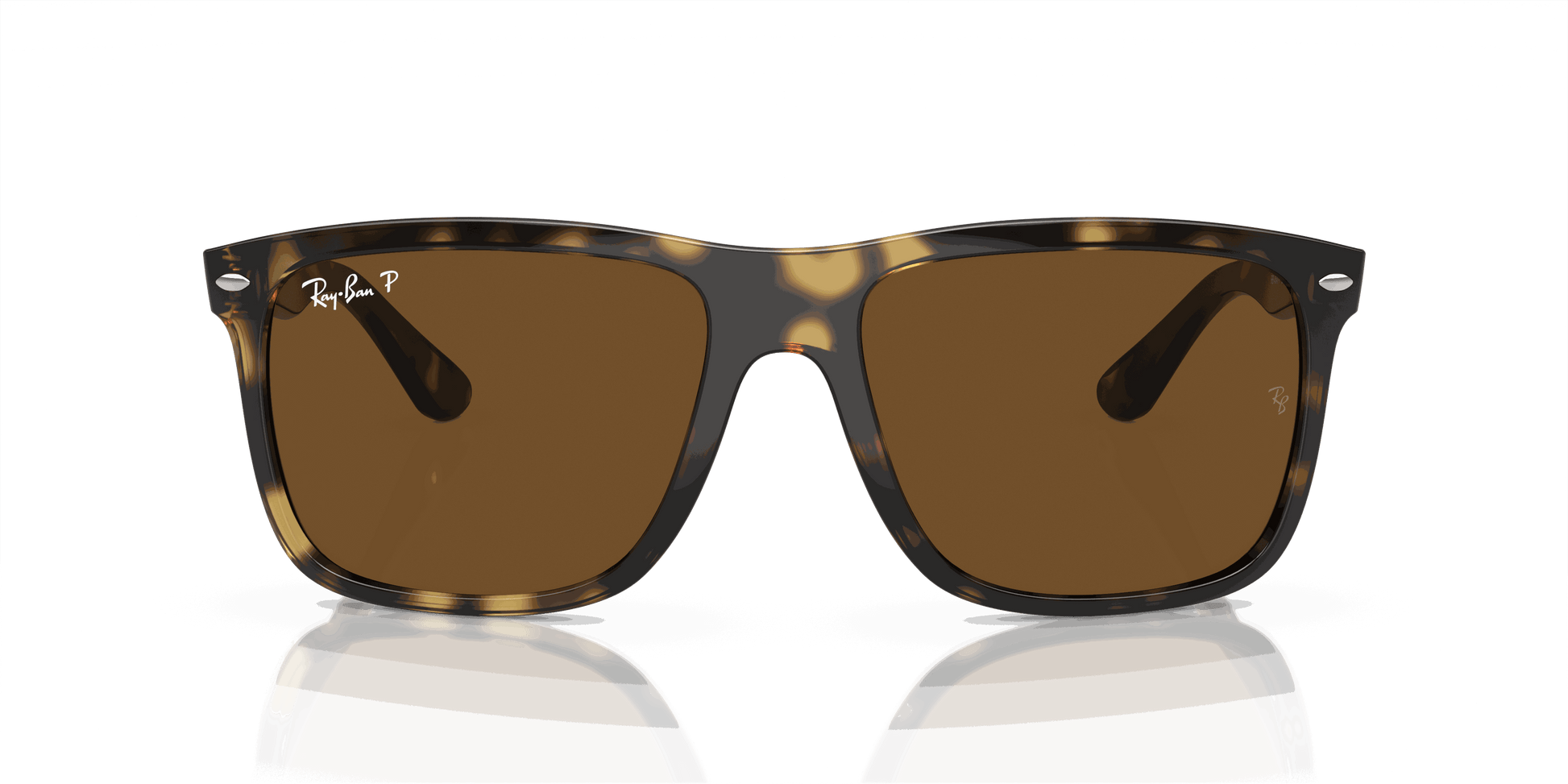 [Brown Lenses, Polished Havana Frame]