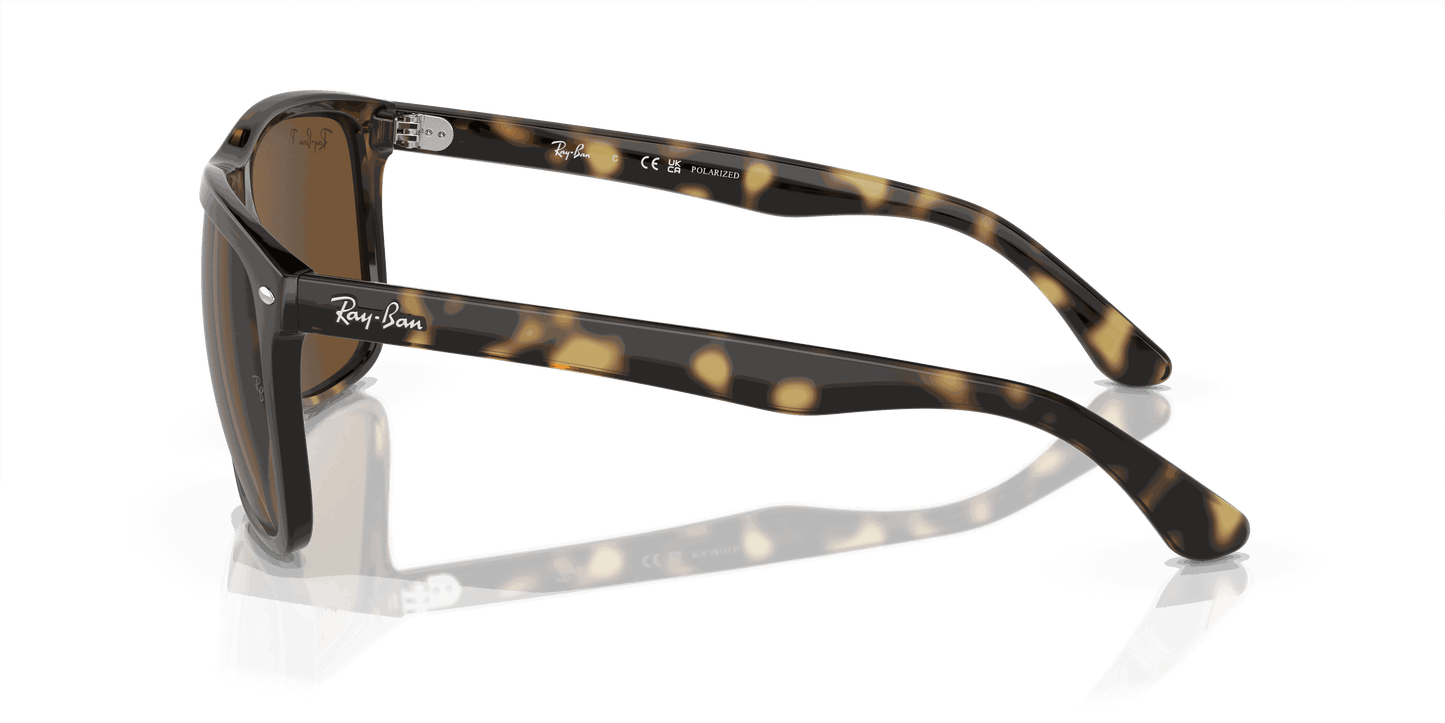 [Brown Lenses, Polished Havana Frame]