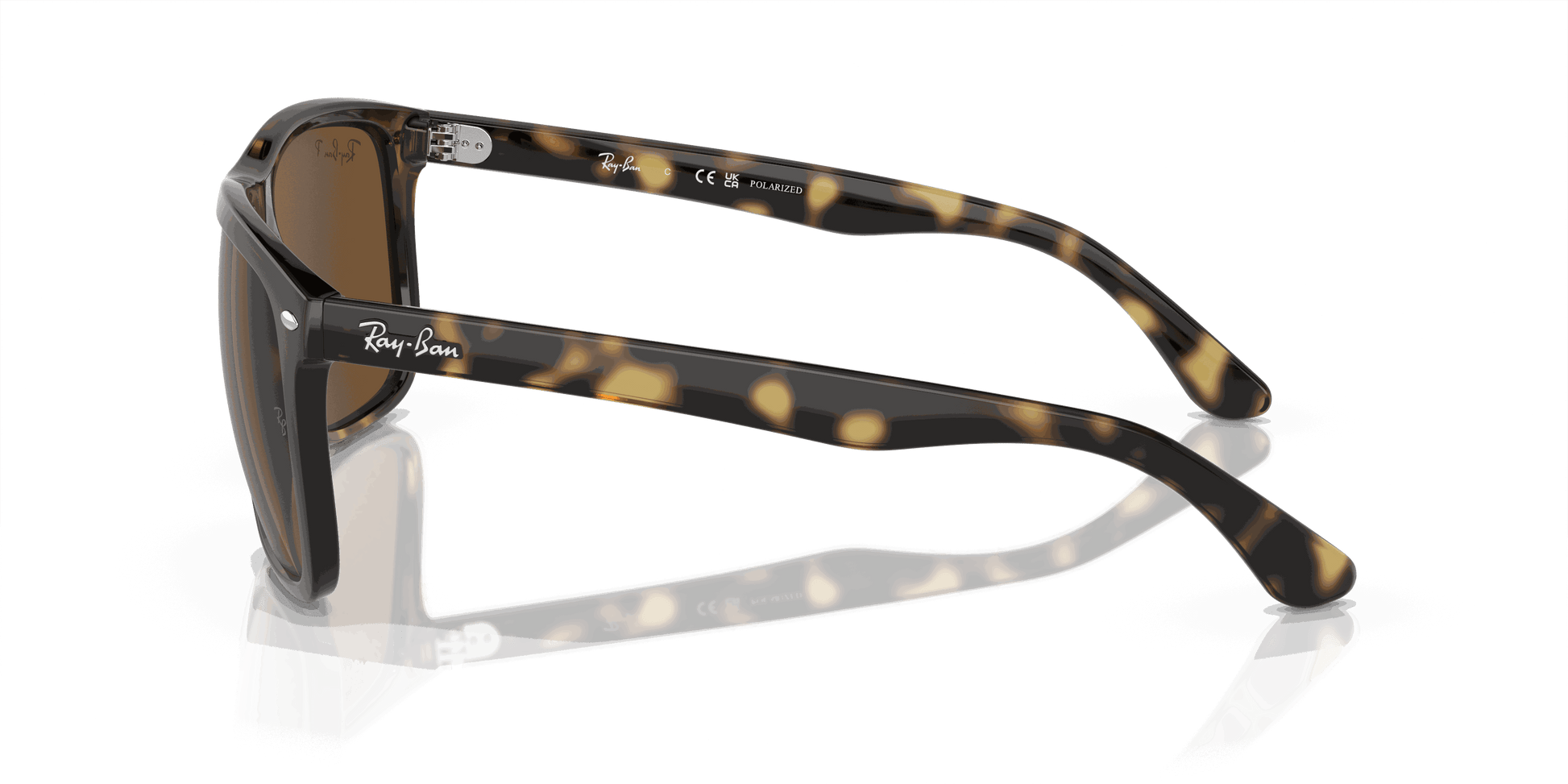 [Brown Lenses, Polished Havana Frame]