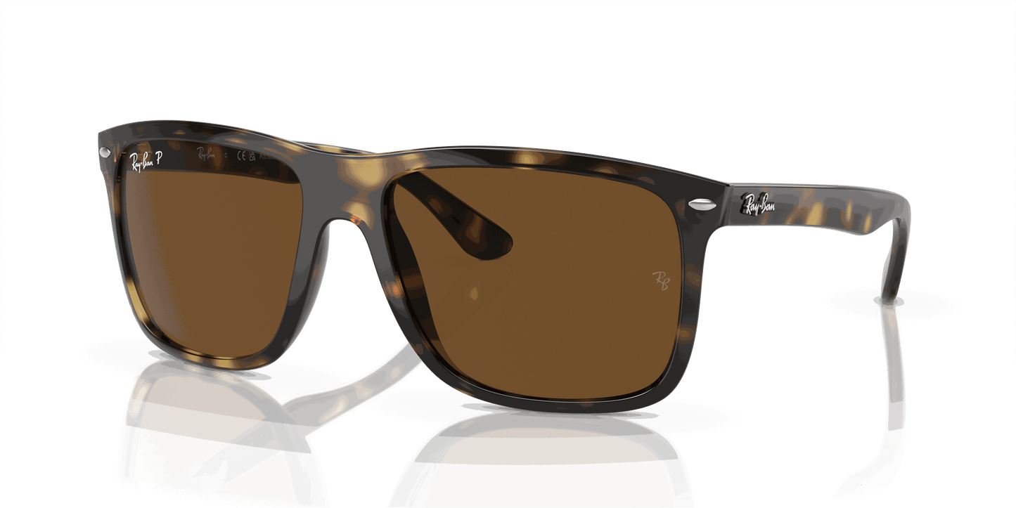 [Brown Lenses, Polished Havana Frame]