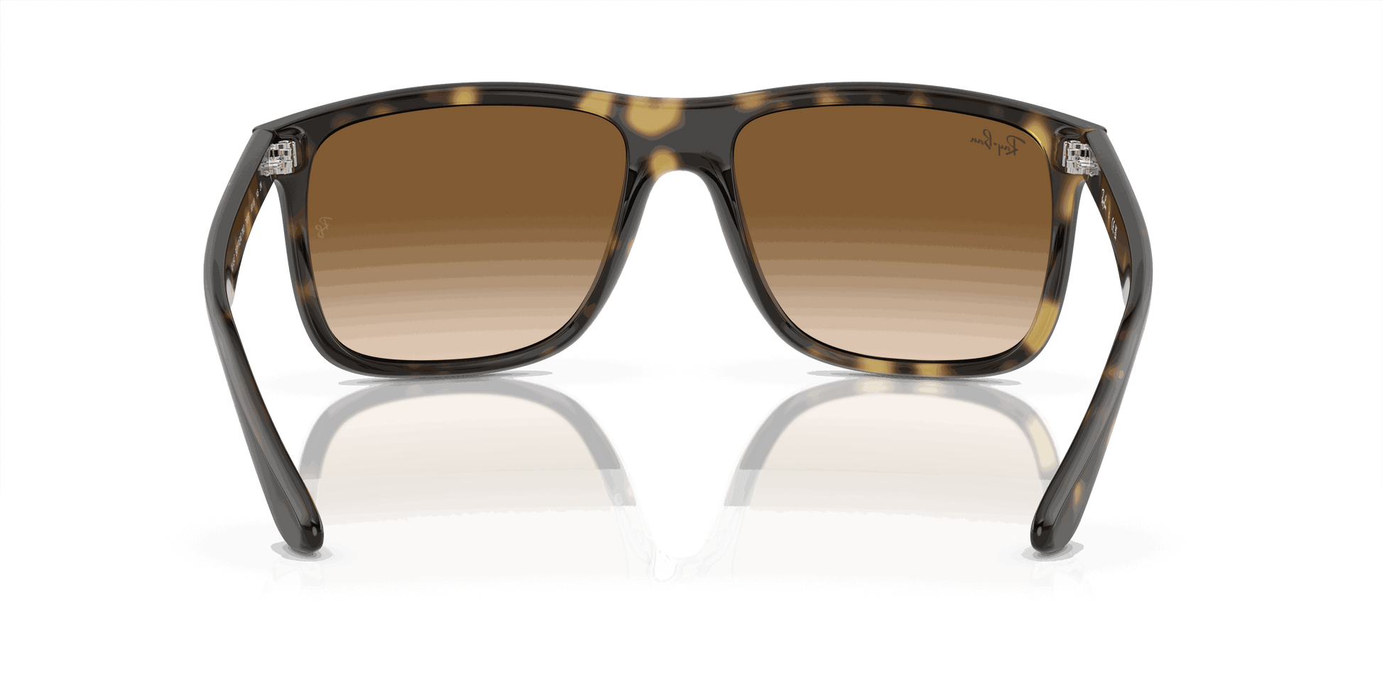 [Light Brown Lenses, Polished Havana Frame]
