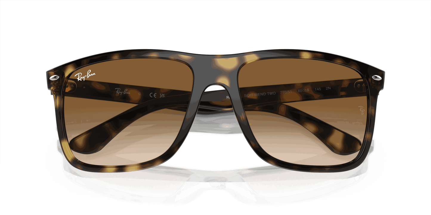 [Light Brown Lenses, Polished Havana Frame]