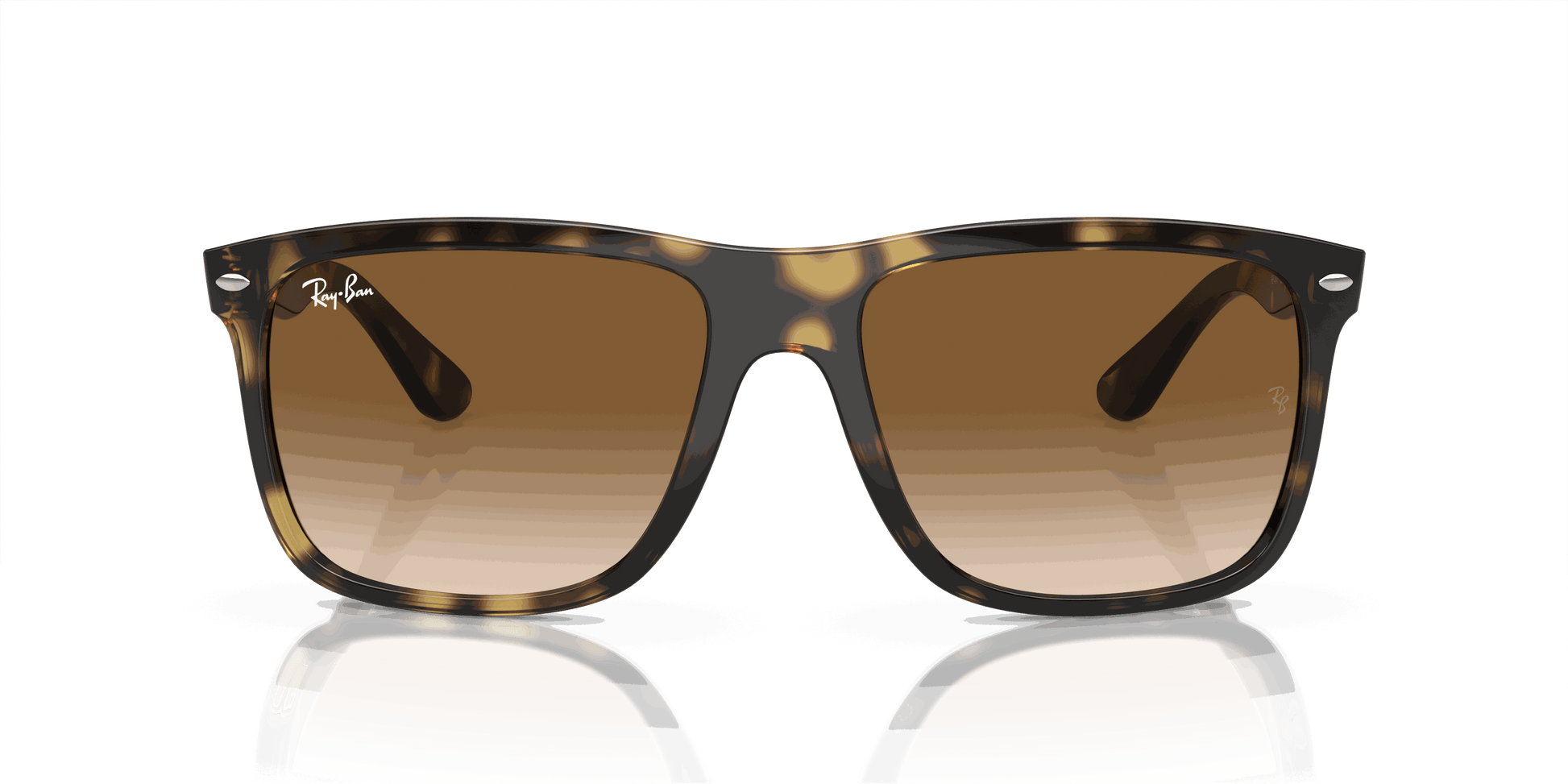 [Light Brown Lenses, Polished Havana Frame]