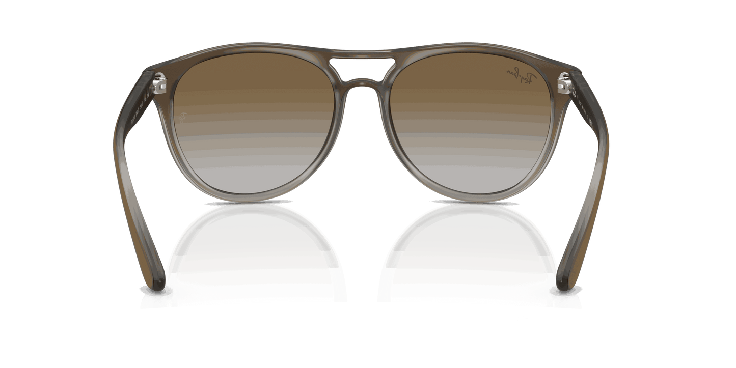 [Green Gradient Lenses, Polished Brown Gradient On Clear Grey Frame]