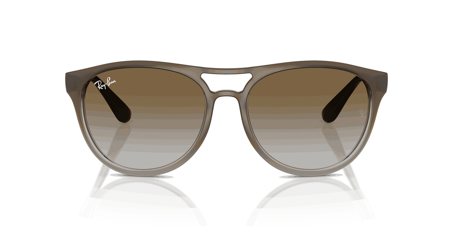 [Green Gradient Lenses, Polished Brown Gradient On Clear Grey Frame]