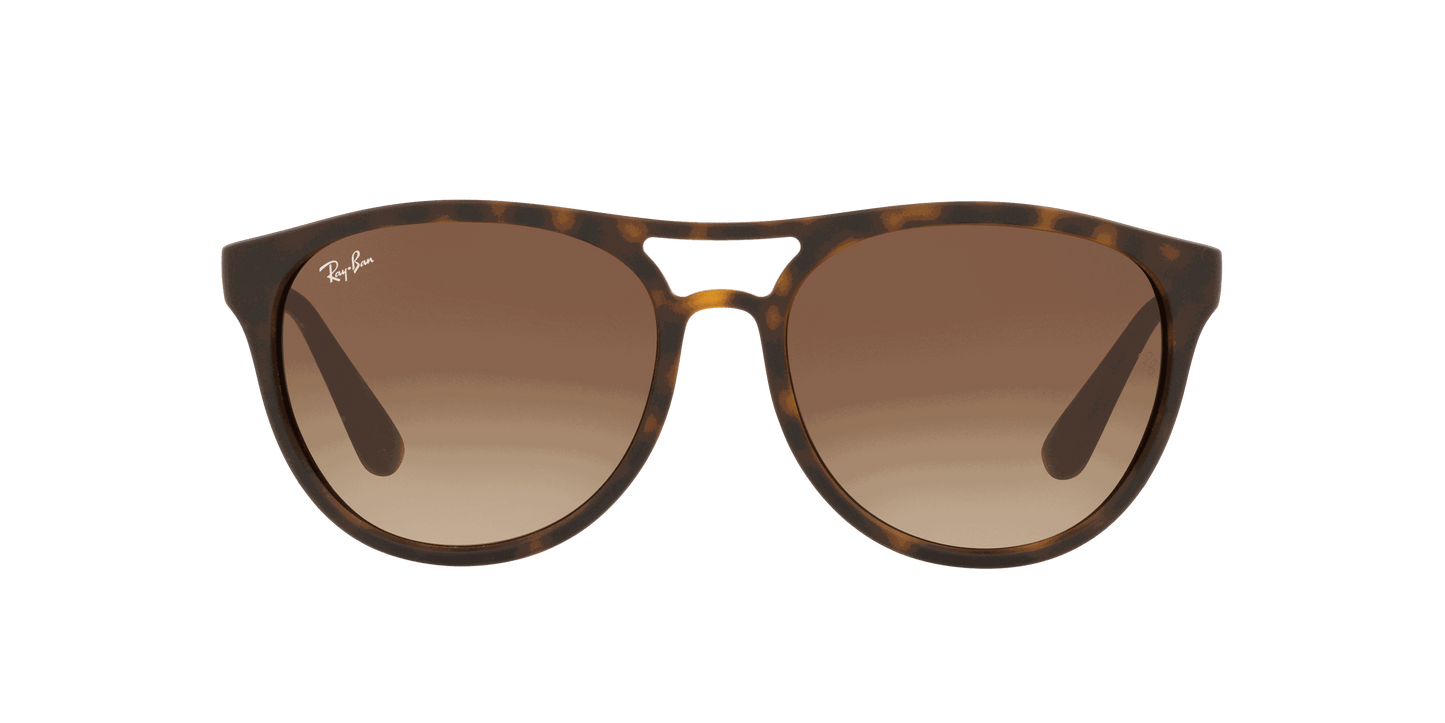 [Brown Gradient Dark Brown Lenses, Matte Havana Frame]