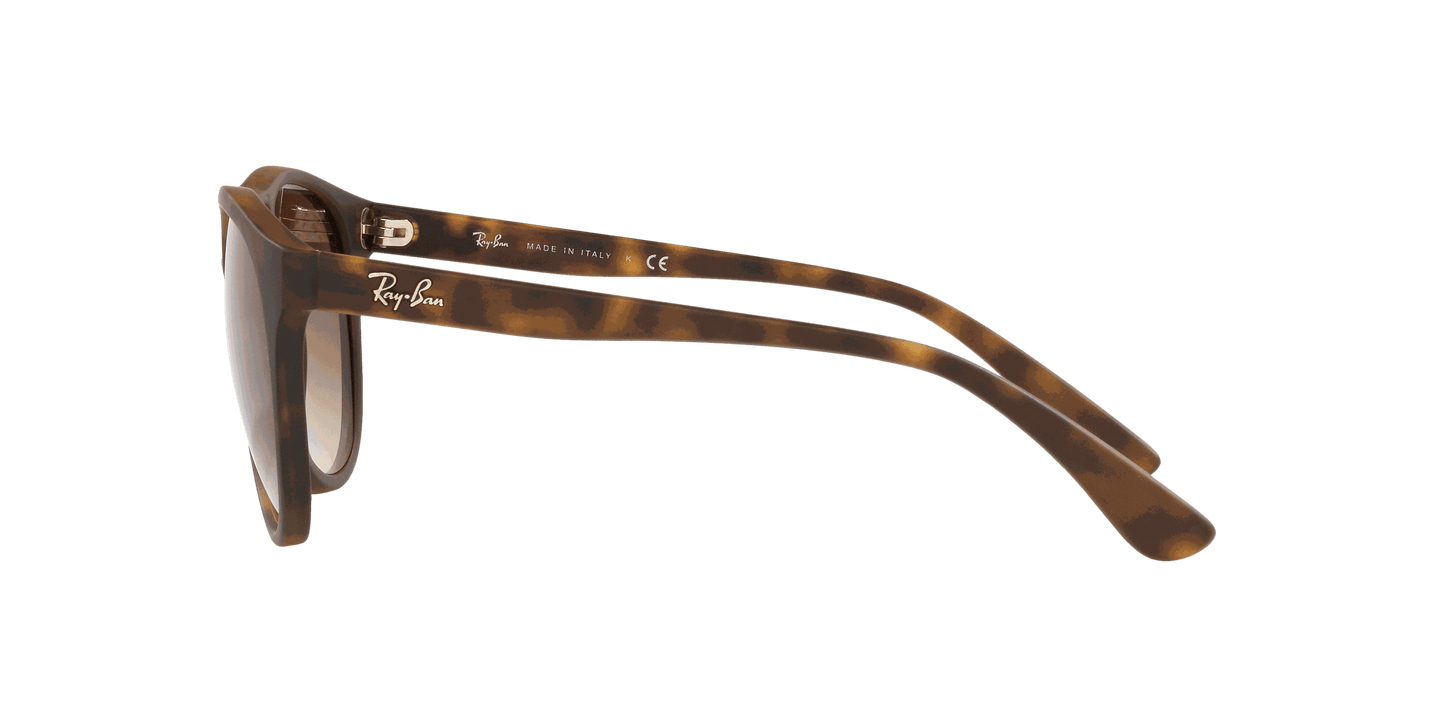 [Brown Gradient Dark Brown Lenses, Matte Havana Frame]