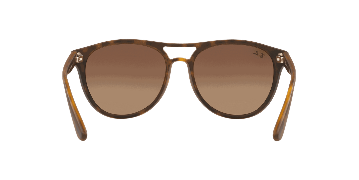 [Brown Gradient Dark Brown Lenses, Matte Havana Frame]