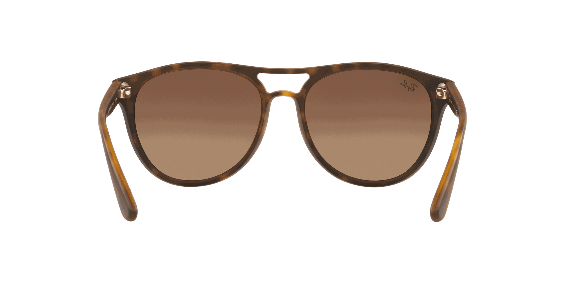 [Brown Gradient Dark Brown Lenses, Matte Havana Frame]