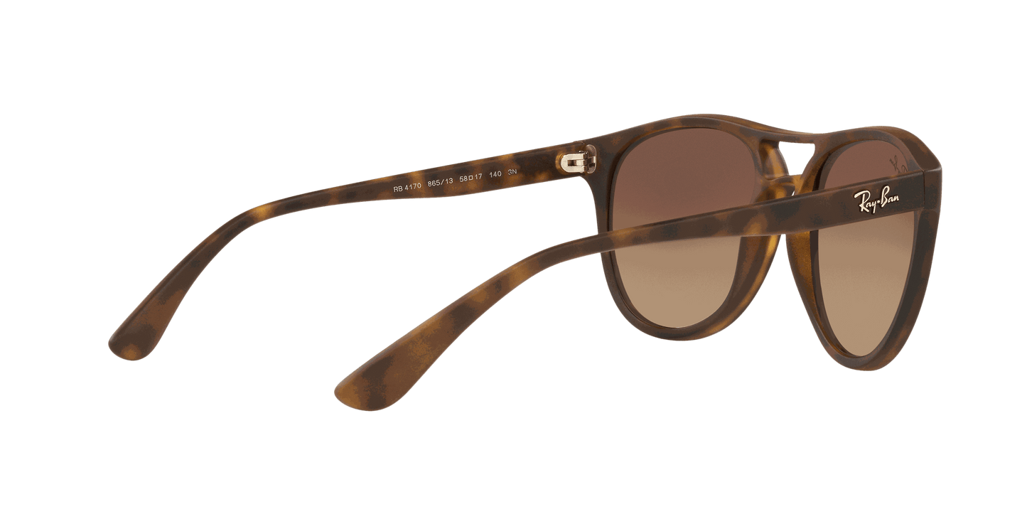 [Brown Gradient Dark Brown Lenses, Matte Havana Frame]