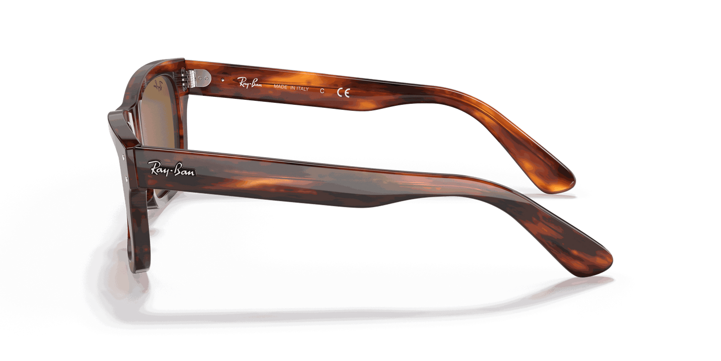 [B-15 Brown Lenses, Polished Striped Havana Frame]