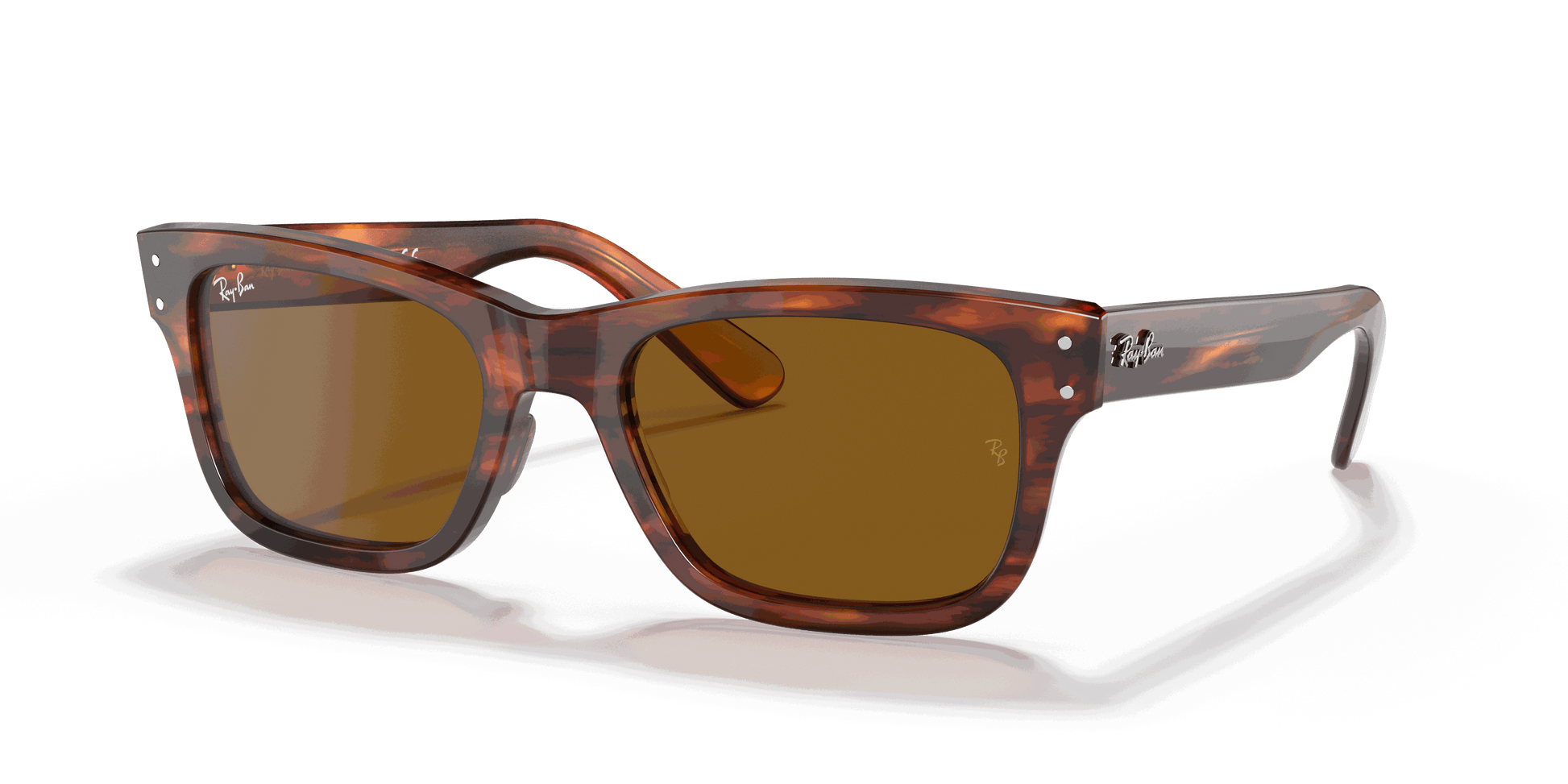 [B-15 Brown Lenses, Polished Striped Havana Frame]