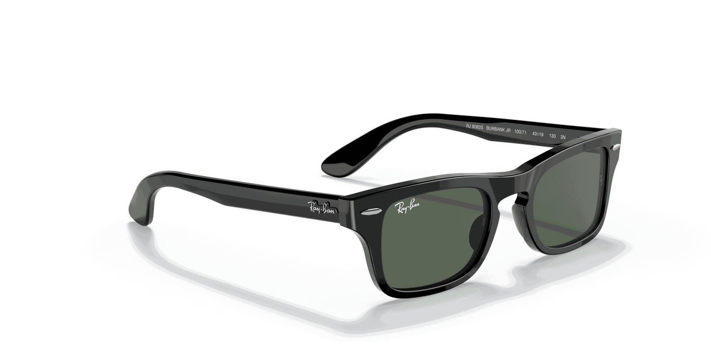 [Dark Green Lenses, Polished Black Frame]