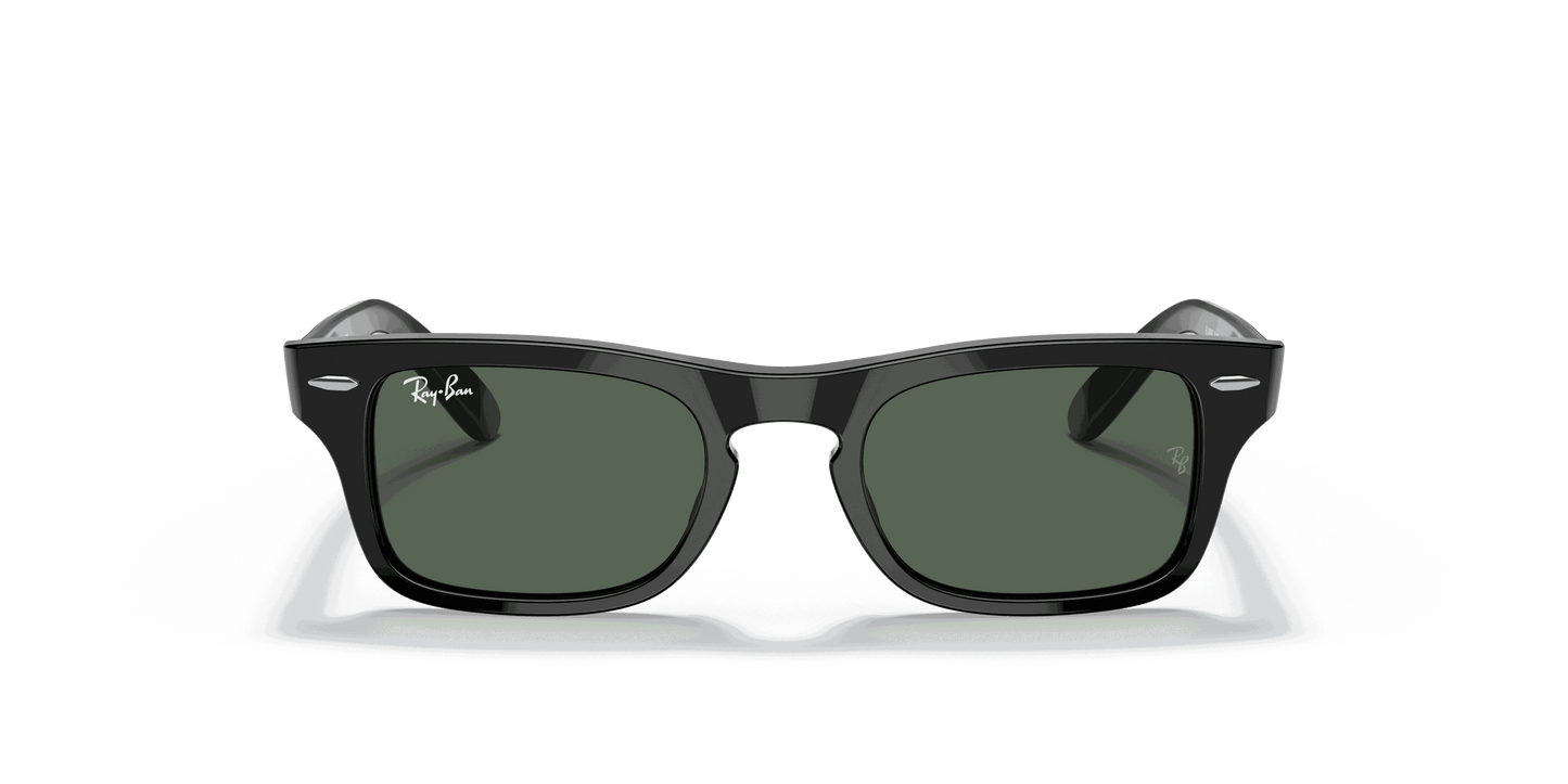 [Dark Green Lenses, Polished Black Frame]
