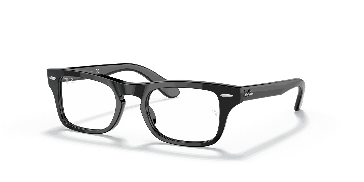 [Clear Lenses, Polished Black Frame]