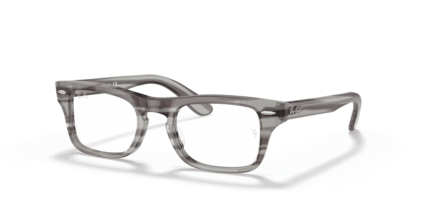 [Clear Lenses, Polished Striped Grey Frame]