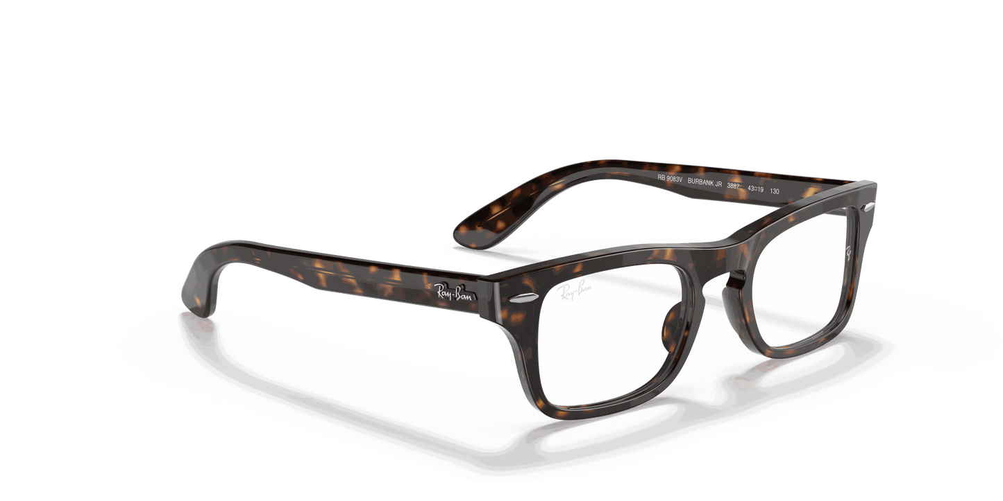 [Clear Lenses, Polished Havana Frame]